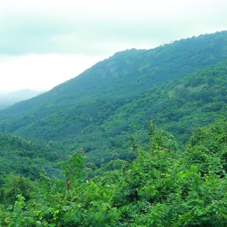 Whiteflower Mountain Resort Perintalmanna Luaran gambar